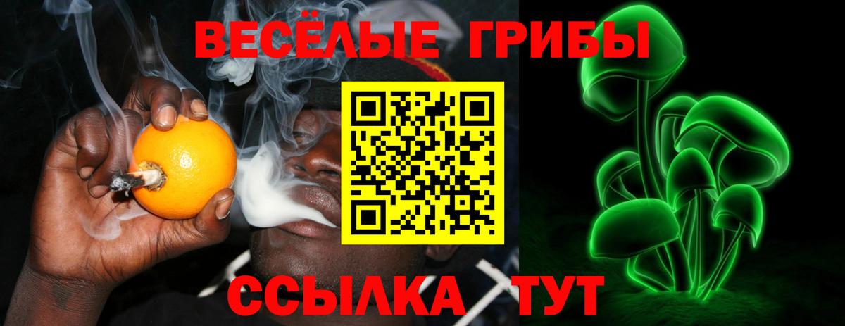 Псилоцибиновые грибы GOLDEN TEACHER Рузаевка